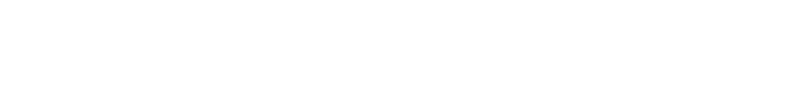 tiger-global